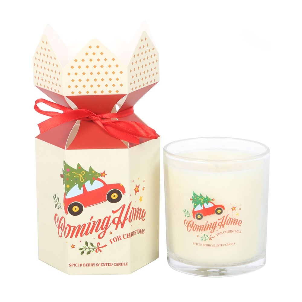 Something Different - Coming Home for Christmas Spiced Berry Scented Candle - Multicolours